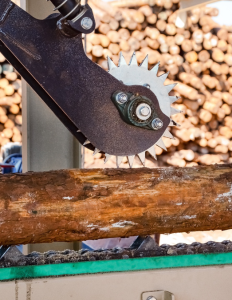 Blade guide bearings Rhino feed