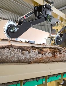 Twin vertical saw rhino 2a