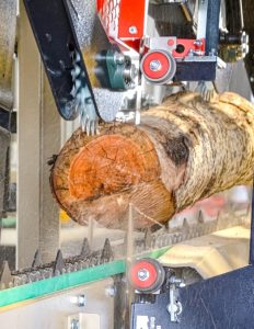 Twin vertical saw rhino 2a